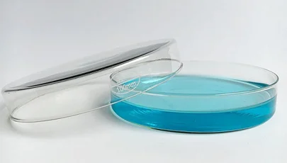 What is a petri dish